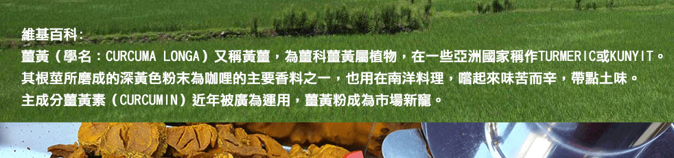 薑黃粉的藥用價值高, 怎麼吃, 薑黃料理, 薑黃粉哪裡買